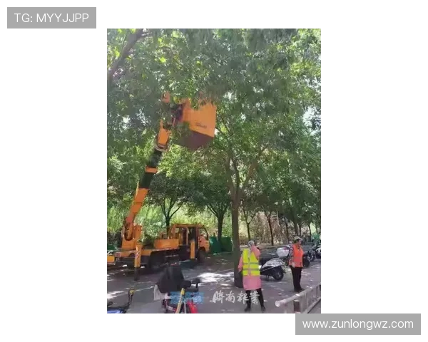 尊龙z6在线车辆维护及时，确保每次出行安全无忧