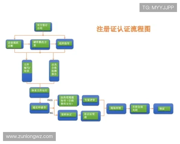尊龙版app注册登录流程及常见问题解决方案