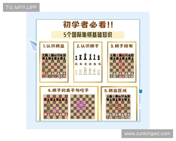 尊龙时凯人生就是博官网为新手玩家提供详细的入门指南与操作技巧