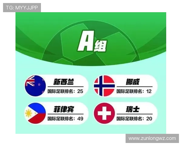 世界杯新西兰比利时比赛购票渠道详解及最新购票指南推荐